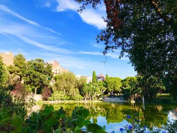 Reflection of trees and buildings in lake