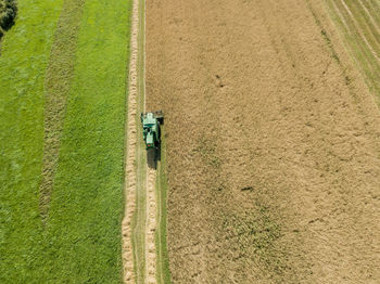 High angle view of agricultural field