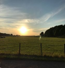 Scenic view of field against sky during sunset