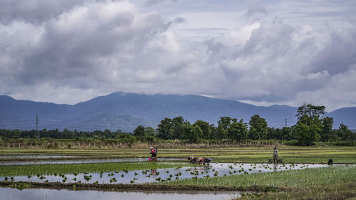 Farmers working of agricultural field against sky