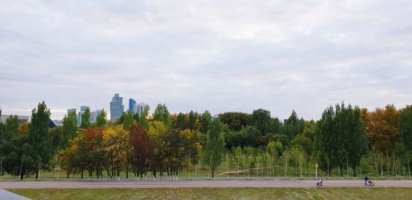 Trees in park against sky during autumn
