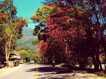 Road amidst trees against sky