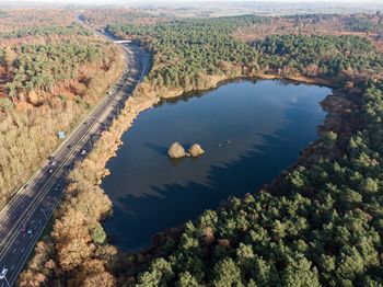 High angle view of river amidst trees