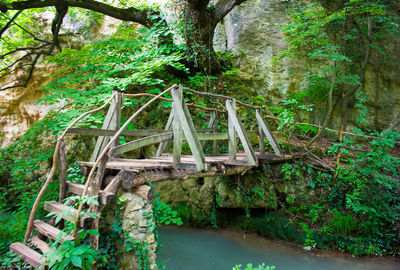 Bridge in forest