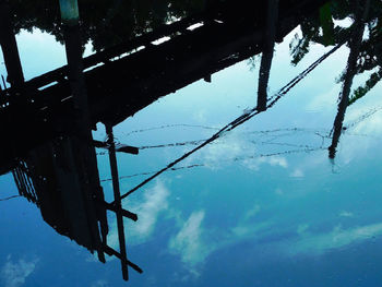 Low angle view of reflection of tree in water