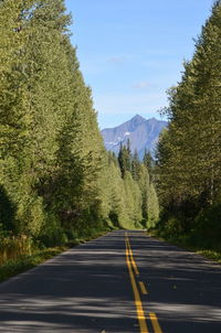 Road amidst trees against sky