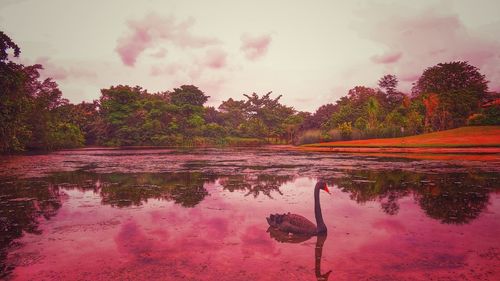 Scenic view of lake against cloudy sky