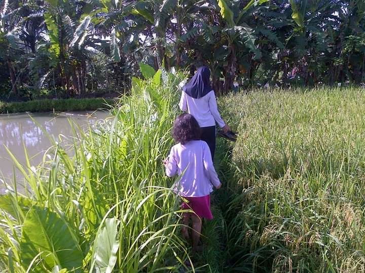 plant, real people, growth, grass, women, land, field, leisure activity, lifestyles, rear view, child, day, childhood, nature, girls, females, green color, casual clothing, people, three quarter length, outdoors, sister