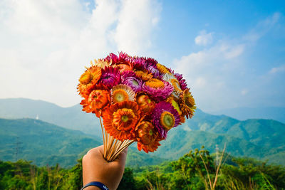 Low section of woman standing on flowering plant against mountain