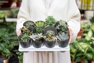 Midsection of woman holding potted plant at botany