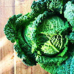 High angle view of vegetables on table