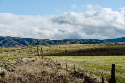 Scenic view of field against sky