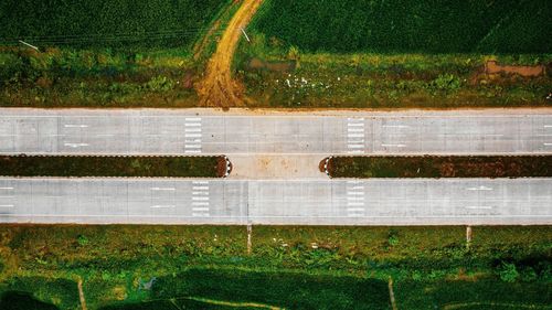 High angle view of agricultural field