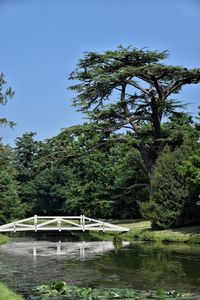 Scenic view of lake in forest against clear sky