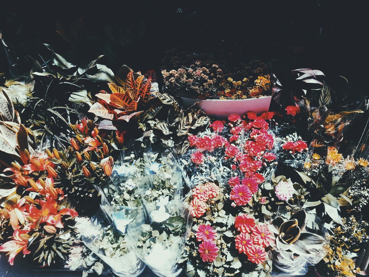 꽃시장