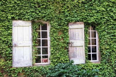 Exterior of building