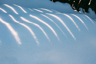 Scenic view of snow covered field