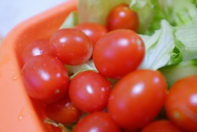 Close-up of red tomatoes in plate