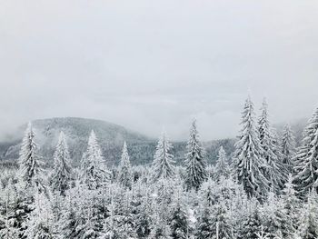 Snow covered landscape against sky