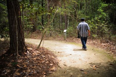 Rear view of man walking in forest