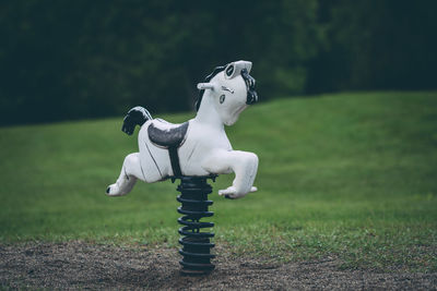 Close-up of horse in park