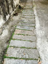 High angle view of steps amidst walkway