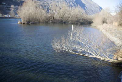 Scenic view of lake by trees during winter