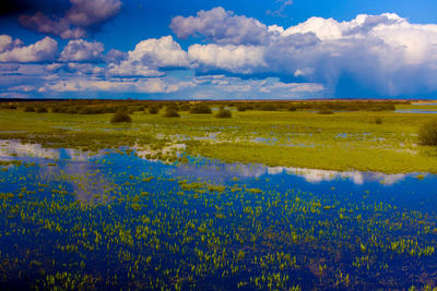 Scenic view of lake against sky