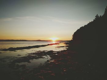 Scenic view of sea during sunset