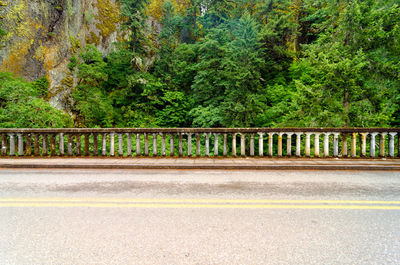 Railing on highway against forest