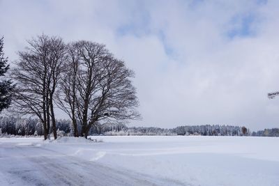 Trees on snow field against sky