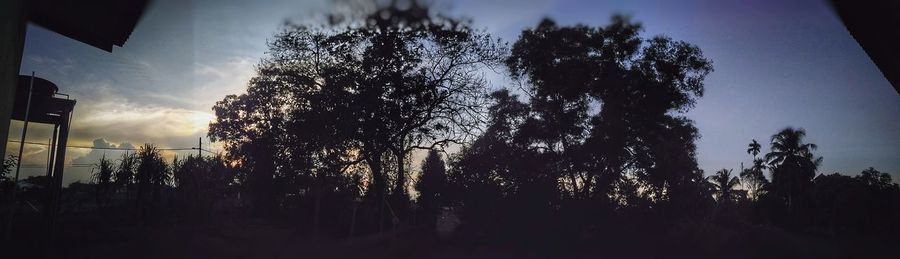 Low angle view of silhouette trees against sky