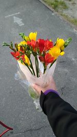 Low section of person holding bouquet of road