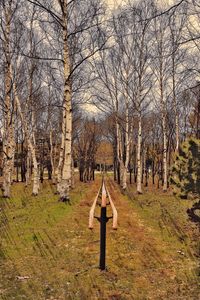 Bare trees on field during autumn