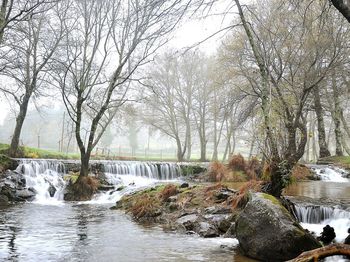 Scenic view of waterfall in forest against sky