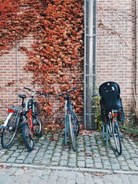 Bicycle against brick wall