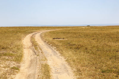 Road amidst field against clear sky