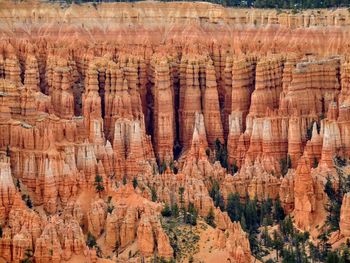 Hoodoo and pine trees in bryce canyon national park in utah blue partly cloudy skies.