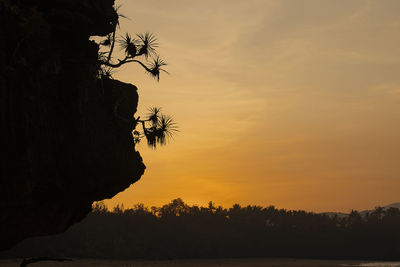 Silhouette trees against sky during sunset