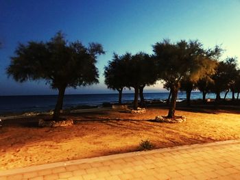 Trees on beach against clear sky