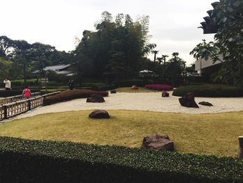 View of people in park