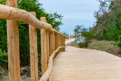 Wooden boardwalk amidst trees against sky