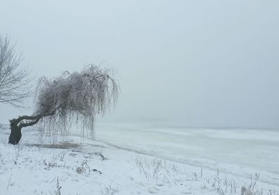 Scenic view of snow field against clear sky