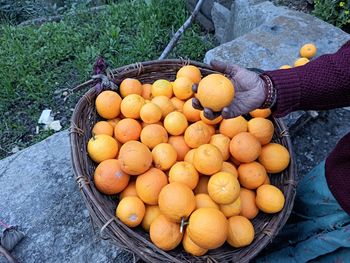 High angle view of fruits in container