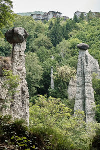 Stone wall by trees and rocks against sky