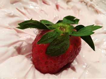 Close-up of strawberry growing on plant