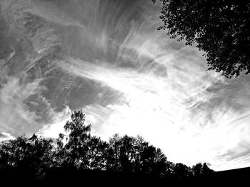 Low angle view of silhouette trees against sky