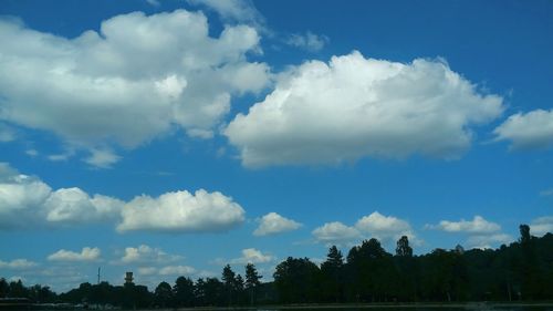 Low angle view of trees against sky