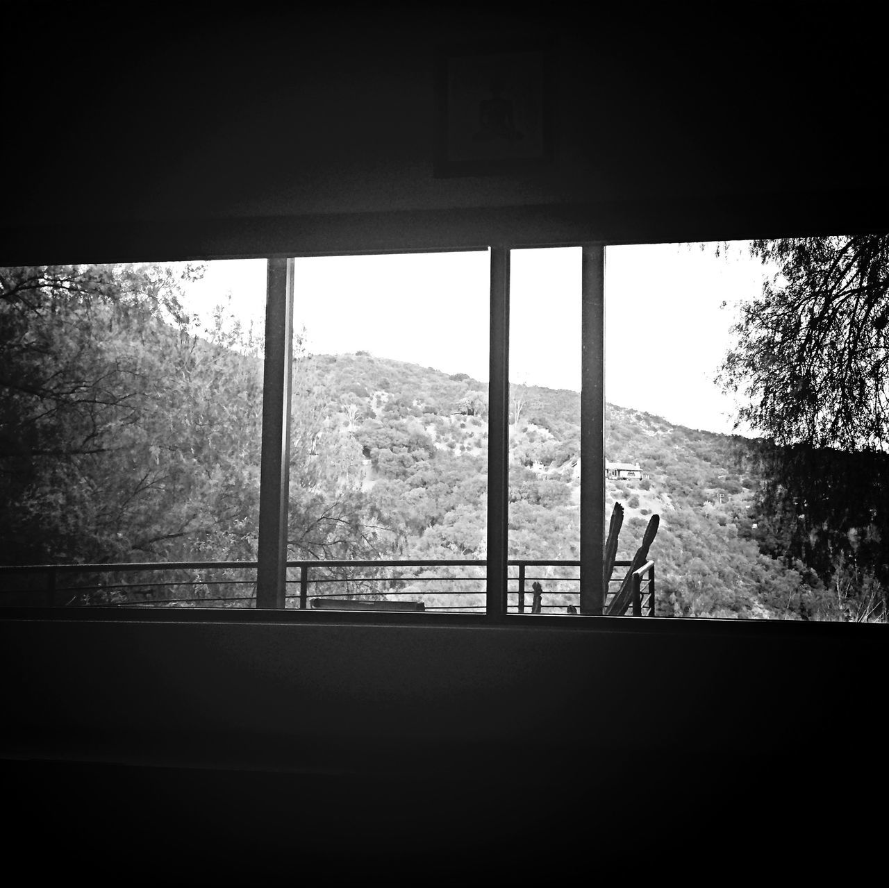 window, indoors, tree, built structure, architecture, glass - material, transparent, house, day, no people, wall - building feature, low angle view, home interior, tree trunk, sunlight, dark, nature, growth, clear sky, looking through window