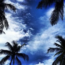 Low angle view of palm tree against cloudy sky